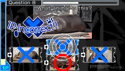 Quiz Animania (Patched) [FULL][ENG]