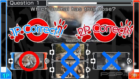 Quiz Animania (Patched) [FULL][ENG]