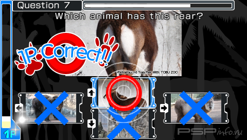 Quiz Animania (Patched) [FULL][ENG]