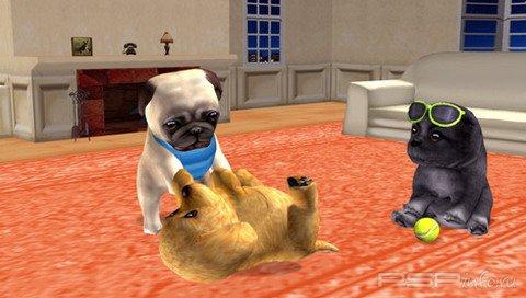 Petz My Puppy Family [RUS]