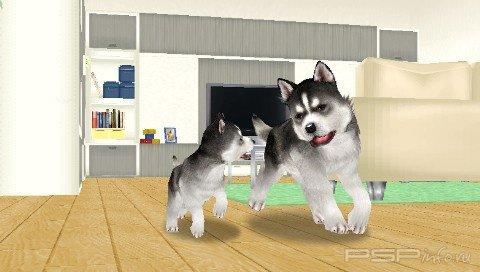 Petz My Puppy Family [RUS]