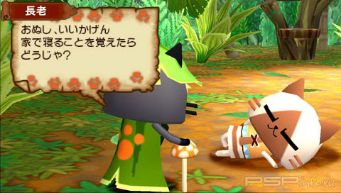    Monster Hunter Diary: Poka Poka Airu Village  PSP
