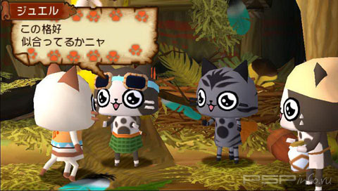     Monster Hunter Diary: Poka Poka Airu Village  PSP