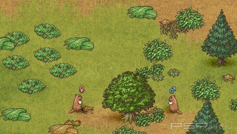 Shepherd's Crossing [ENG]