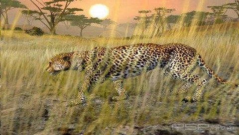 Cabela's African Safari [ENG]