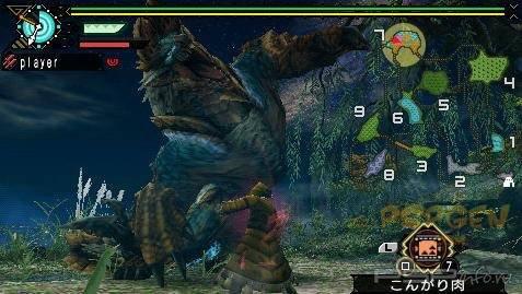    Monster Hunter Portable 3