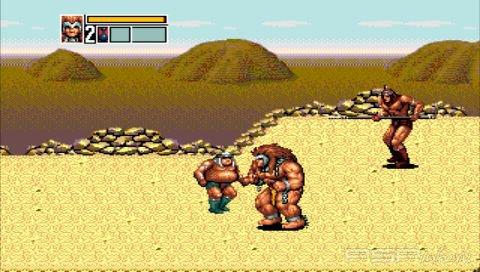 SEGA Genesis Collection [ENG]