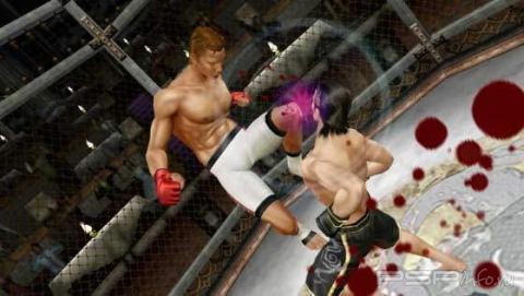 Yakuza Black Panther -  