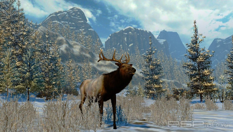 Cabelas North American Adventures 2011 [ENG] [FULLRip] [CSO]