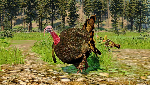 Cabelas North American Adventures 2011 [ENG] [FULLRip] [CSO]