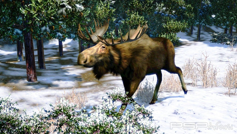 Cabelas North American Adventures 2011 [ENG] [FULLRip] [CSO]