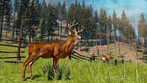 Cabelas North American Adventures 2011 [ENG] [FULLRip] [CSO]