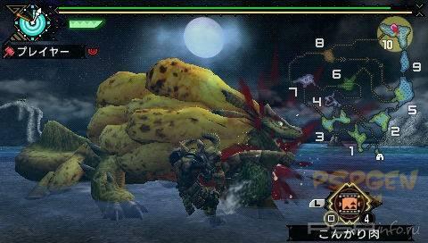 Monster Hunter Portable 3rd -   !
