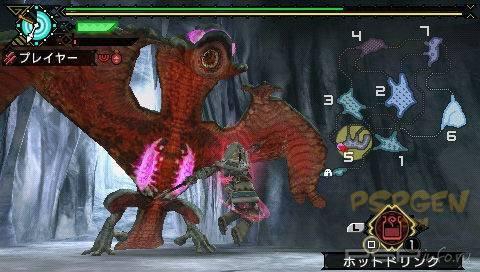 Monster Hunter Portable 3rd -   !