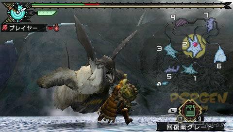 Monster Hunter Portable 3rd -   !