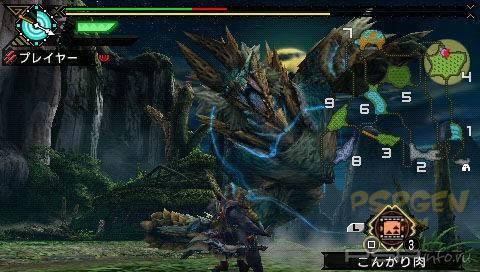 Monster Hunter Portable 3rd -   !