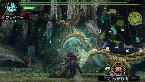 Monster Hunter Portable 3rd -   !