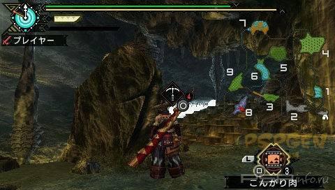 Monster Hunter Portable 3rd -  !