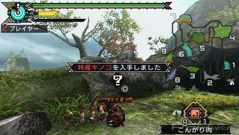 Monster Hunter Portable 3rd -  !