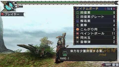 Monster Hunter Portable 3rd -  !