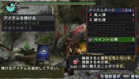Monster Hunter Portable 3rd -  !
