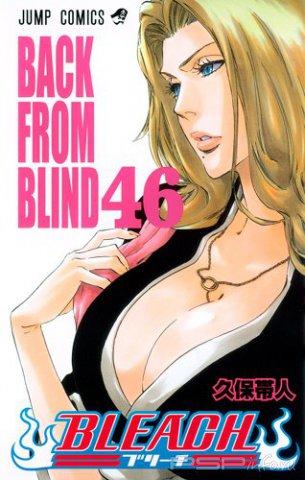   423 / Bleach manga 423