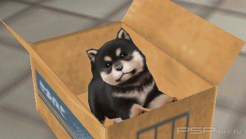   Kenka Bancho 5: Way of an Honorable Man