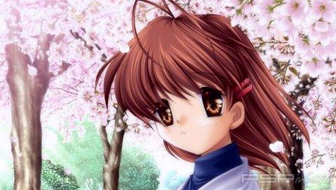 CLANNAD (2UMD)[FULL][ISO][JAP]