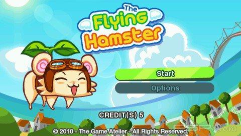 Flying Hamster [ENG]