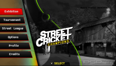 Street Cricket Champions [ENG]