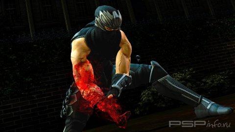 Ninja Gaiden 3:  