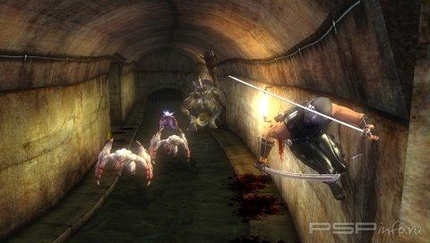 Ninja Gaiden Sigma Plus - ����� ���������