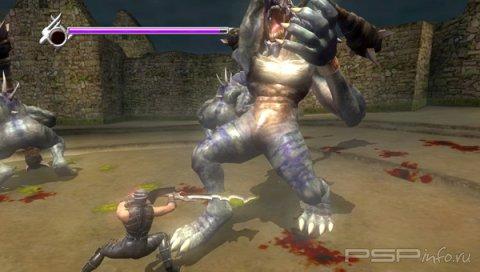 Ninja Gaiden Sigma Plus -  