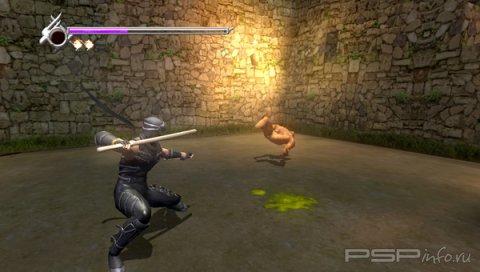 Ninja Gaiden Sigma Plus -  