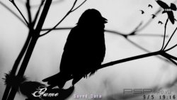  'Featherly'   CTF  PSP