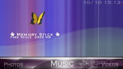  'ReViSiTeD'   CTF  PSP