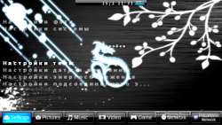 ���� 'Modern Pro [RUS]' � ������� CTF ��� PSP