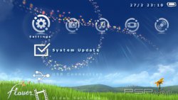 ���� 'Flower Dynamic' � ������� CTF ��� PSP