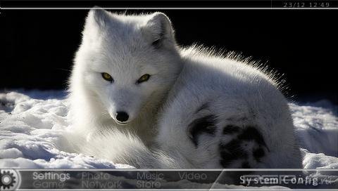  'Arctic Fox'   CTF  PSP