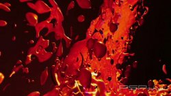  '3D '   GAMEBOOT  PSP