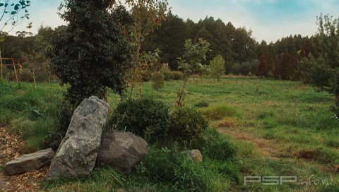  '  '   GAMEBOOT  PSP