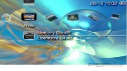  'Technology Theme'   PTF  PSP