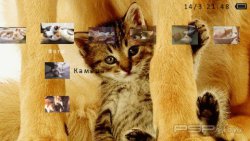  'Kitten [RUS]'   PTF  PSP