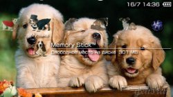  'Dogs [RUS]'   PTF  PSP