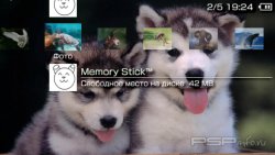  'Animals [RUS]'   PTF  PSP