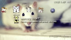  'Hamster [RUS]'   PTF  PSP