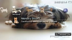  'Yorkshire Terrier [RUS]'   PTF  PSP