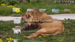  'Nature [RUS]'   PTF  PSP