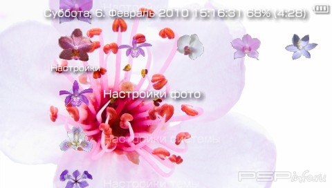 ���� 'Delicate Flowers [RUS]' � ������� PTF ��� PSP