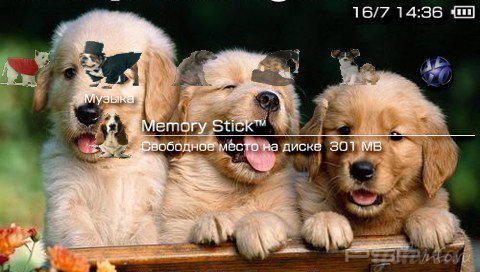  'Dogs [RUS]'   PTF  PSP